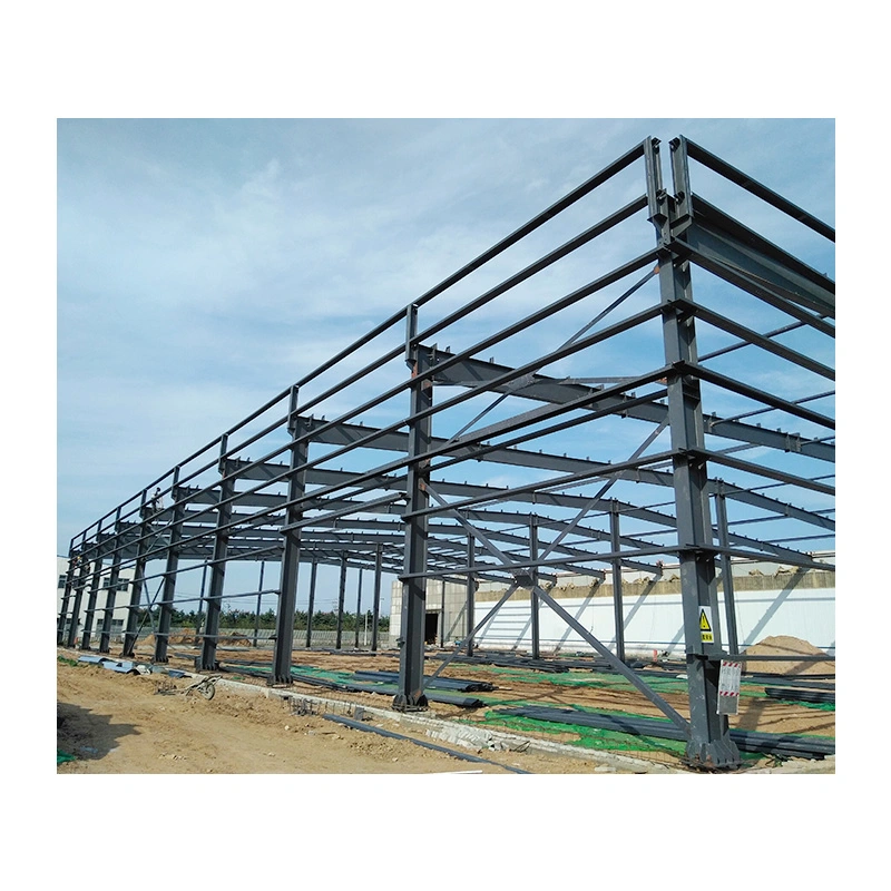 Light Steel Structure Construction Project House Warehouse Building