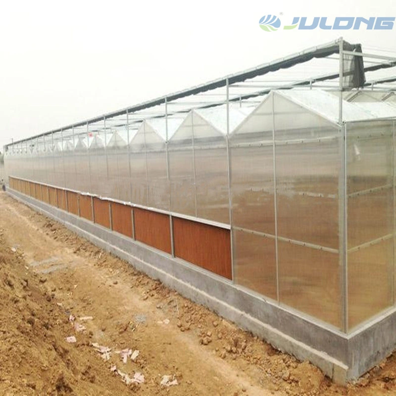 Complete Glass Agriculture Greenhouse Israel Project with Hydroponics Soilless Culture Technology