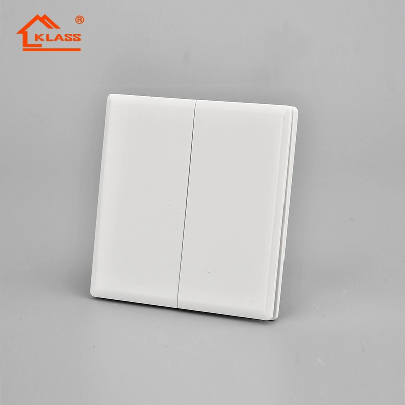 Wenzhou Switches and Socket Factory Outlet 2 Gang 2way Wall Switch Socket for Power Supply Switch Household