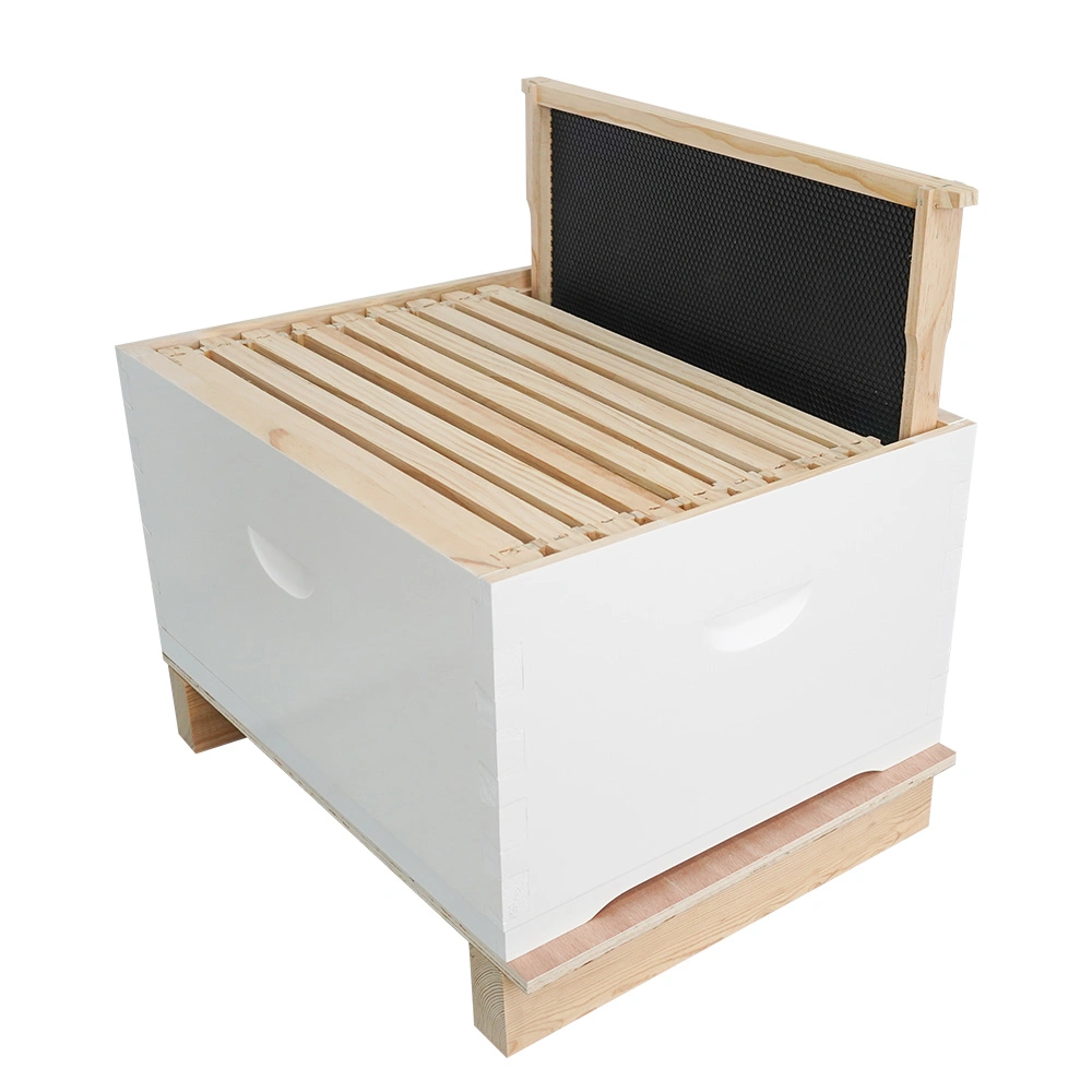 Australian Beehive Pinted White 10 Frames Bee Hive Kit