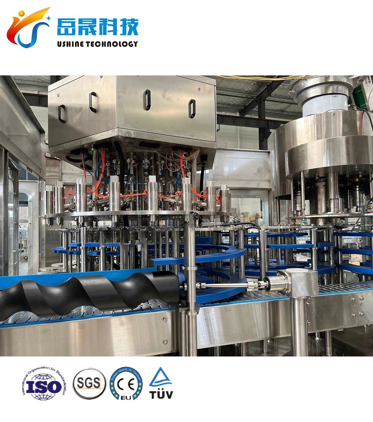 Fully Auto Orange Juice Filling Machine for Glass Bottles