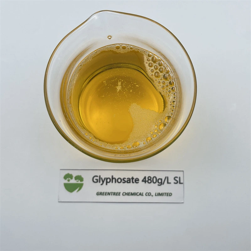 CAS No. 38641-94-0 Agrochemical Product Herbicide Glyphosate-Isopropylammonium Glyphosate 480g/L SL Chinese Supplier