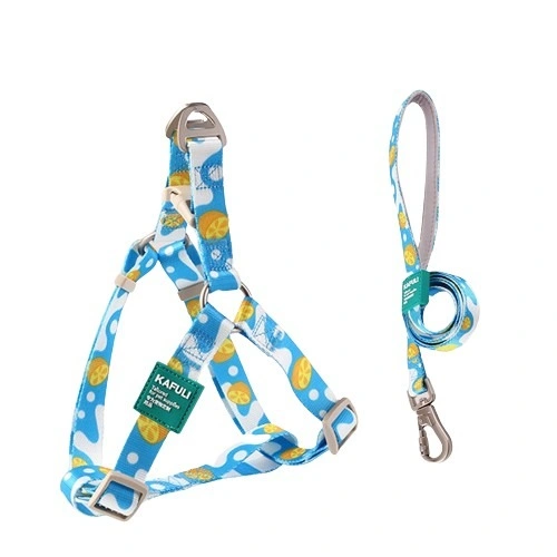 Starkes Polyester-Webing Langlebige Allround-Pflege Haustier Outdoor Leash Und Kabelbaum