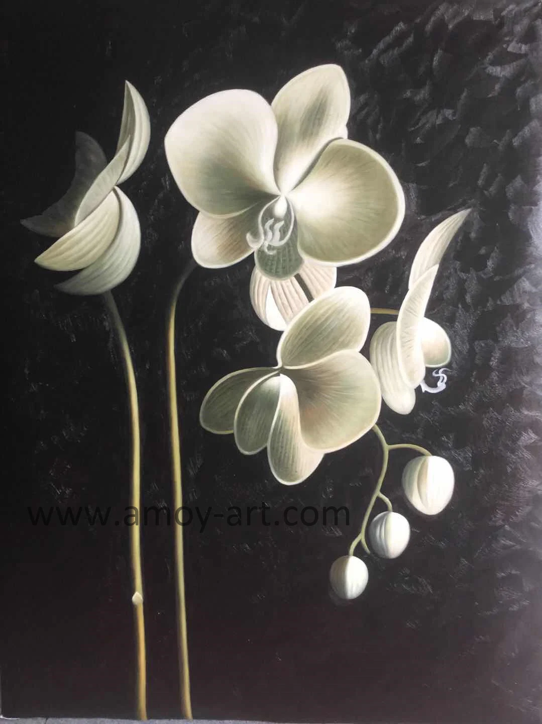 Handmade Realistic Orchid Flower Oil Paintings for Home Decor