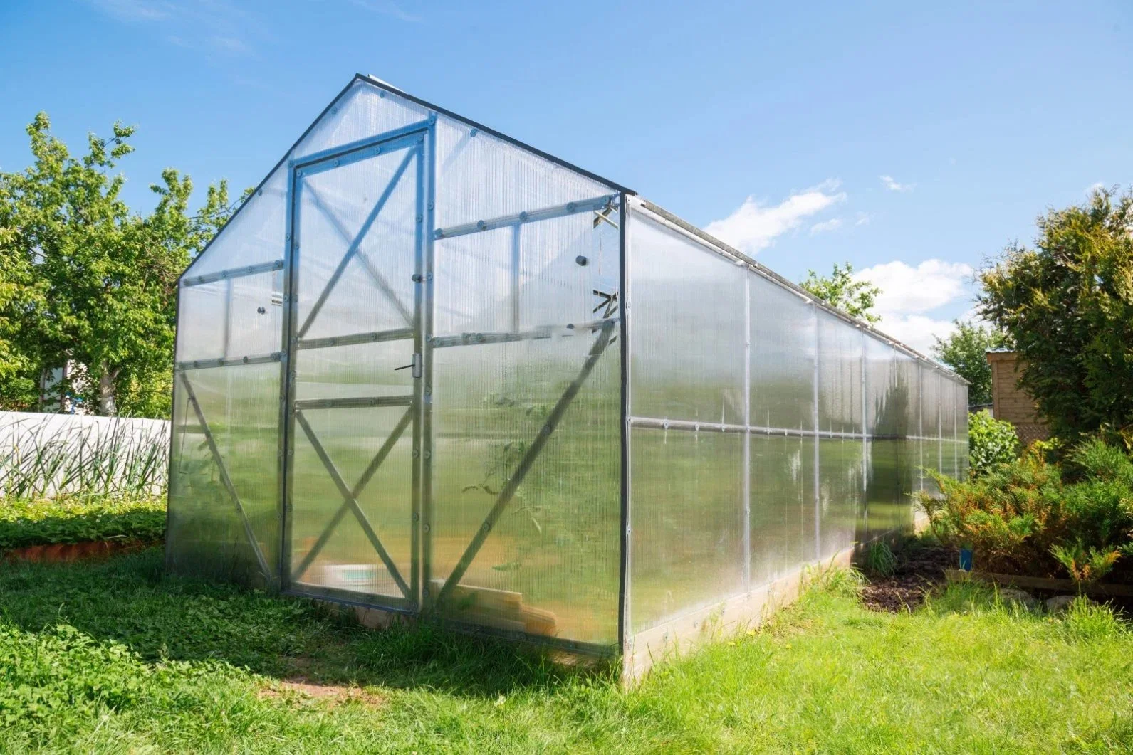 Invernadero de policarbonato con sistemas de cultivo hidropónico