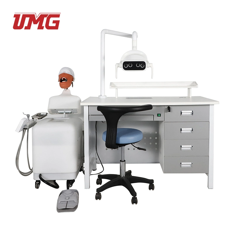 High-Quality Dental Simulation in Teaching Auxiliary Equipment