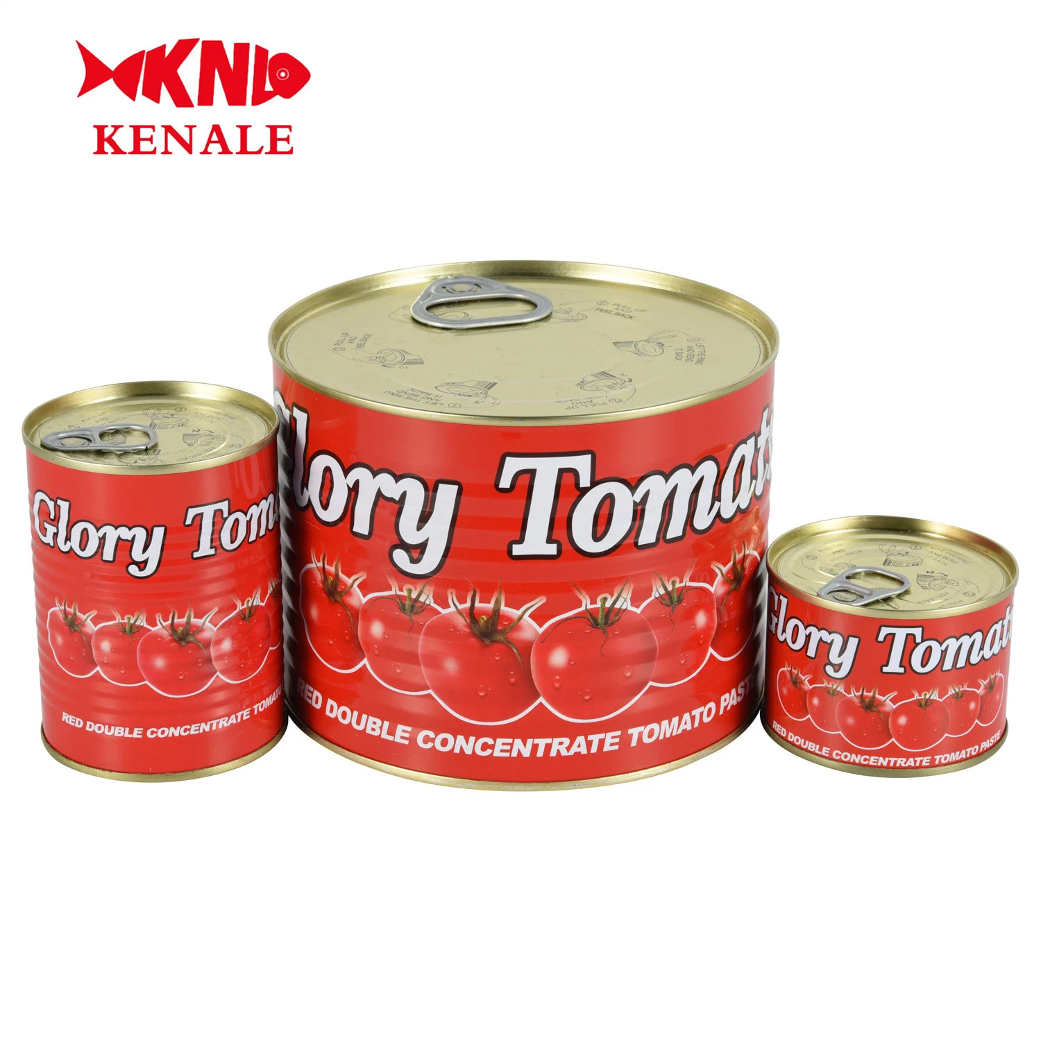 Experienced China Manufacturer Canned Tomato Paste