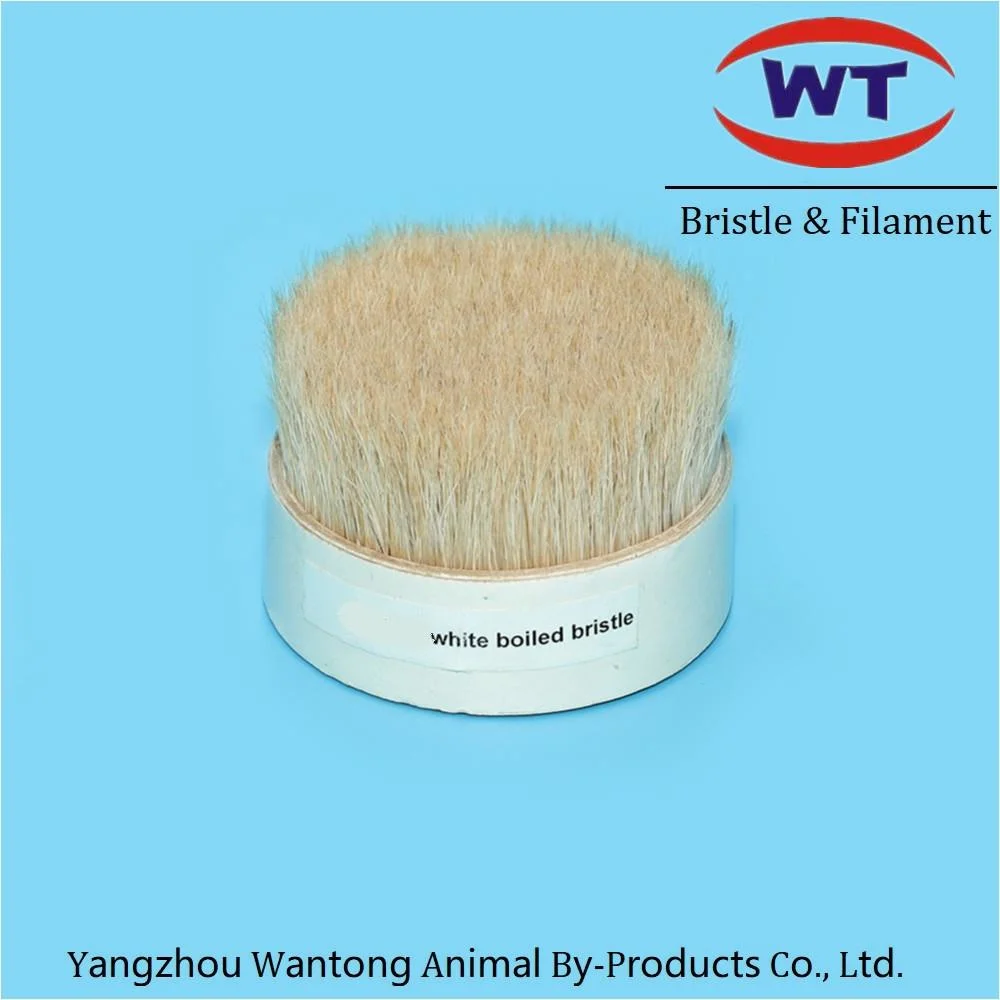 Round Brush Soft White Natural Bristles