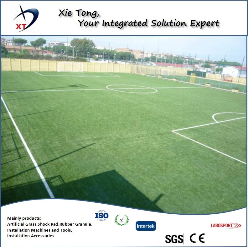 5X5 People Football Field Whole System Artificial Turf with Shock Pad and Infills