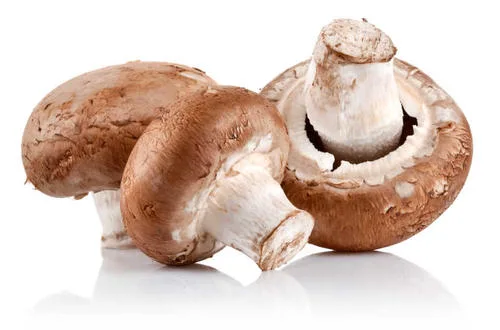 Pronto Stock cogumelo Shiitake Extraia 50% Lentinan polissacarídeo em pó