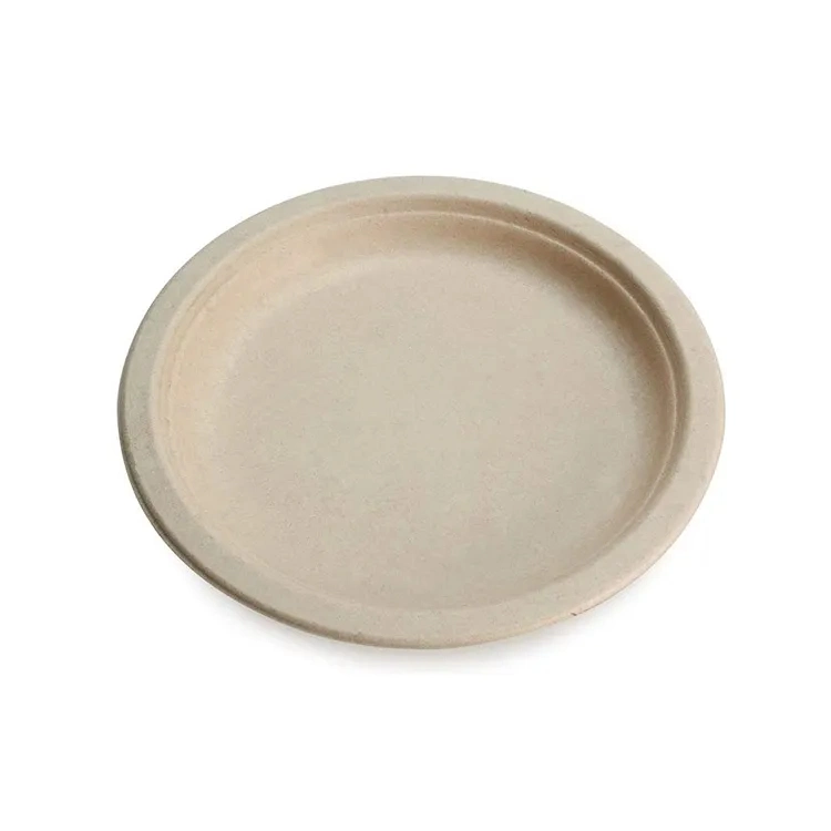 Hot Sale Rectangle 5 plaques de la bagasse de canne à sucre du compartiment à l'alimentation bac sur la vente