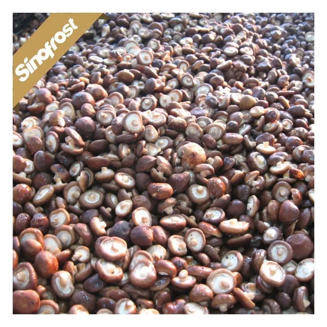 New Crop,Frozen Shiitake Slices,IQF Shiitake Slices,IQF Sliced Shiitakes,Frozen Sliced Shiitakes,IQF Whole Shiitakes,Frozen Shiitake Cuts,Frozen Diced Shiitakes