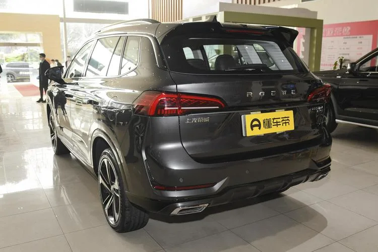 Automatic Youwei Luxury Edition Used Car