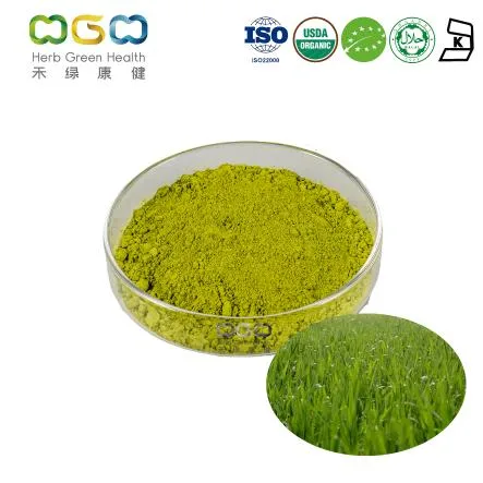 Wholesale/Supplier Lower Blood Pressure and Weight Control Organic Barley Seedling Powder