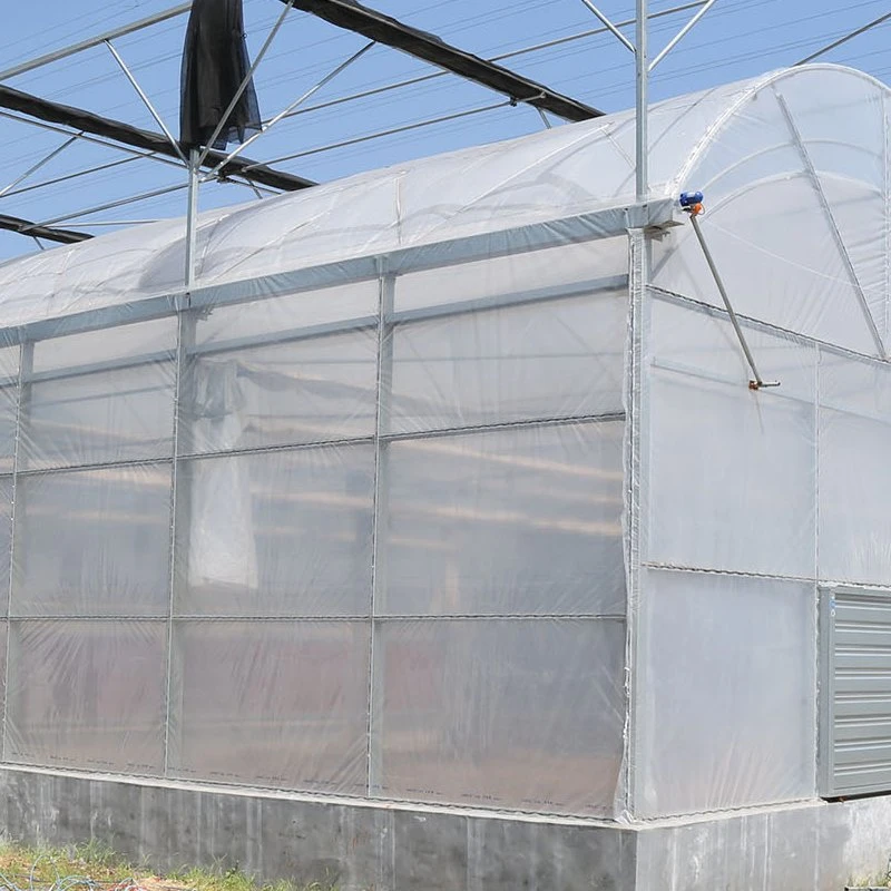 Promotional High quality/High cost performance  Multi-Span Plastic Film Greenhouse