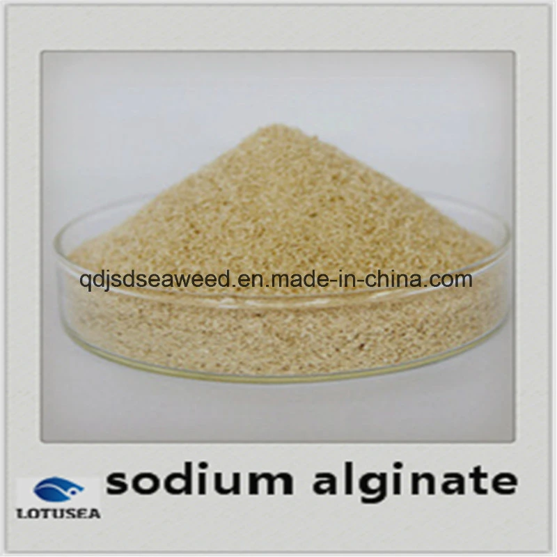 Agent épaississant Alginate de sodium Textille Grade 800cps