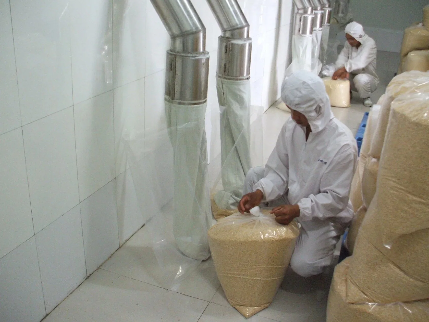 Comercio al por mayor grueso deshidratado ajo en polvo ajo en polvo