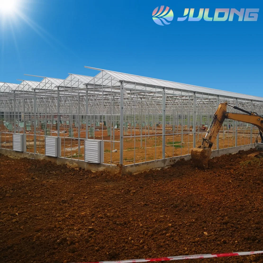 Flower Garden Vegetable Fruit Planting Farm Glass Greenhouse with Drainage System