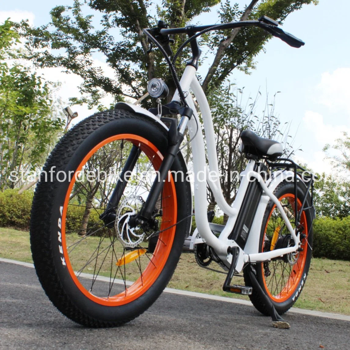 La certificación CE Mayorista/Proveedor Greenpedel Retro bicicleta eléctrica Ebike bicicleta