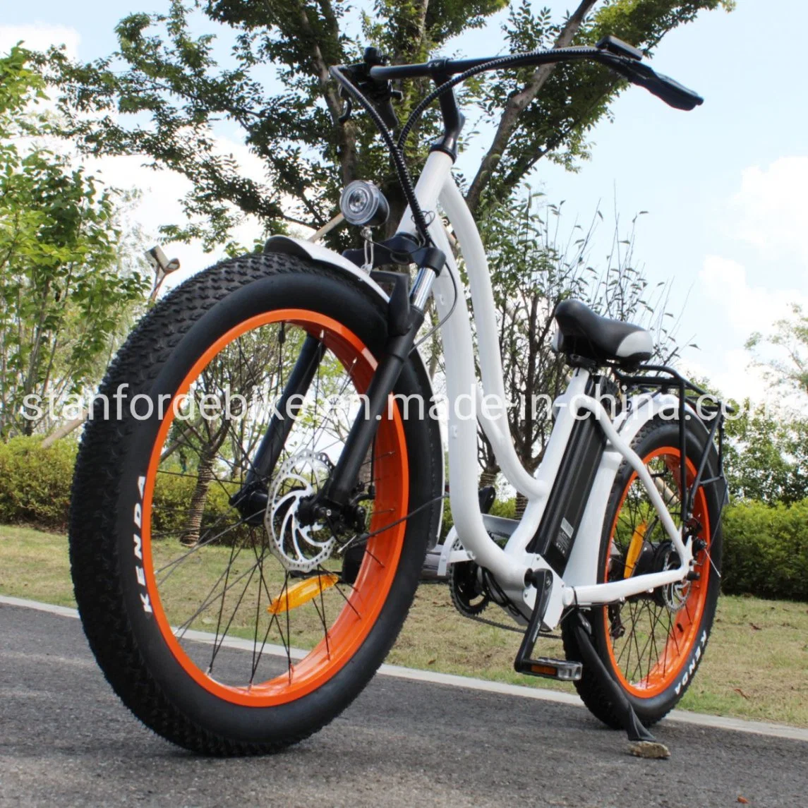 Greenpedel Wholesale/Supplier CE Certification Retro Electric Bike Ebike Bicycle