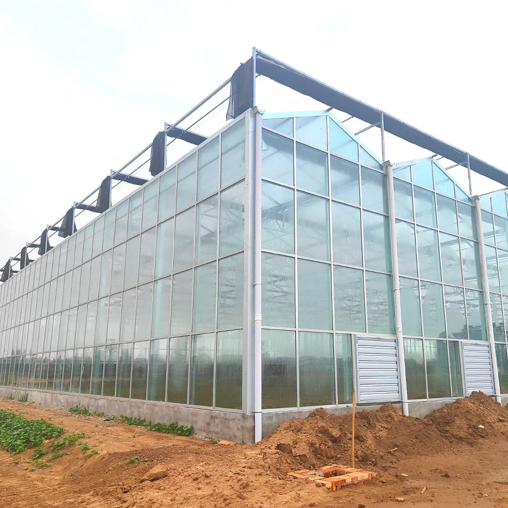 Günstige Multi-span / Single Landwirtschaft Tunnel gewölbte Kunststoff-Film-Glas Gewächshaus für Bauernhof / Garten mit Saatbett hydroponic Kühlung nassen Vorhang