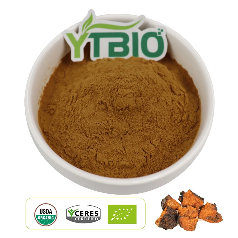 Melhor preço extracto de Chaga Mushroom orgânico 30% extrato de polissacarídeo Chaga