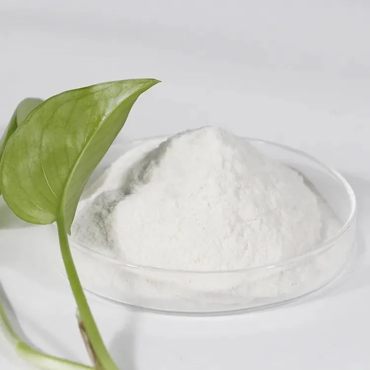 High Quality Food Grade Products Sodium Carboxymethyl Cellulose CMC