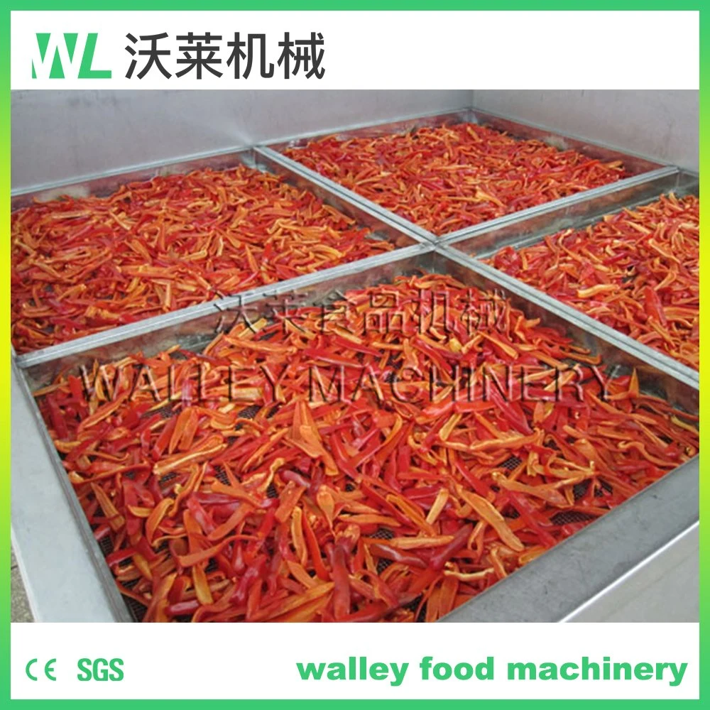 China Beetroot Beet Dehydrator Dry Machine