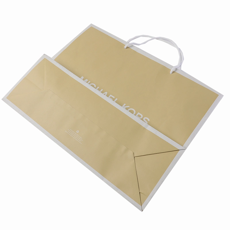 2020new Design Popular Hand Paper Bag