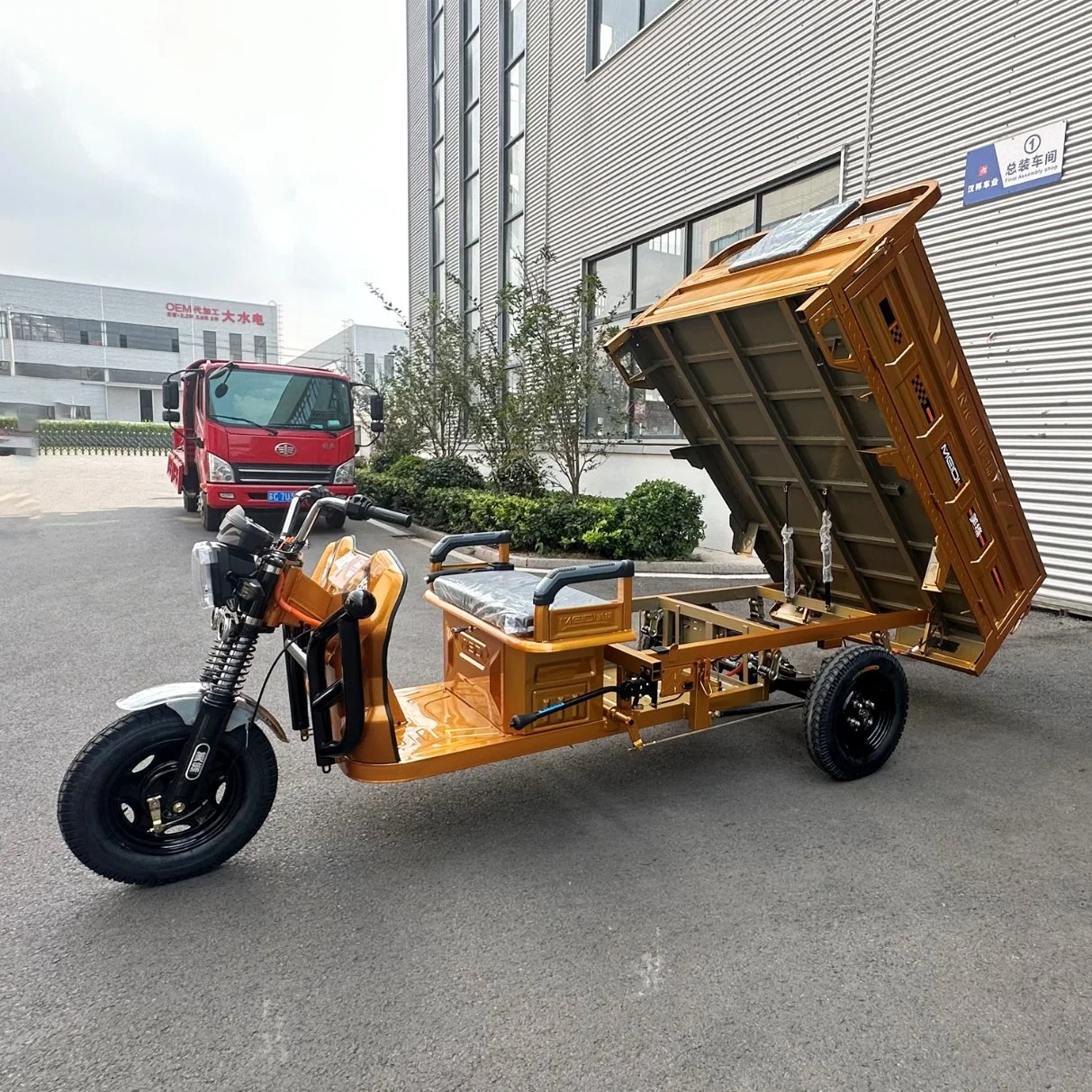 Настраиваемые Trike 60V 1500W 3 колес груза перевозчик с электроприводом для взрослых