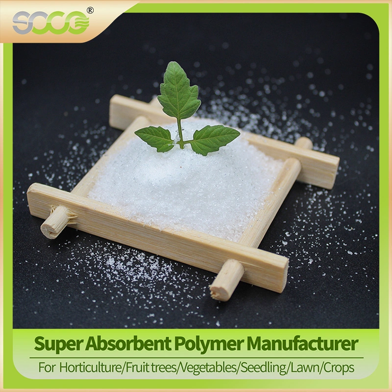 Biodegradable Hydrogel Powder De Potassium Polyacrylate Super Absorbent Polymer Water Gel for Plant