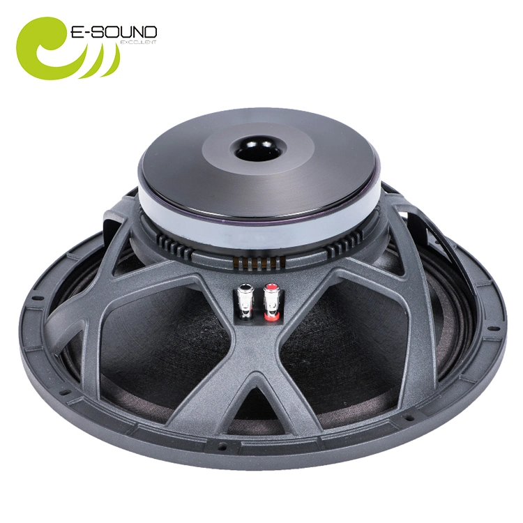 2019 nuevo altavoz de 12" Degisn BX12X301