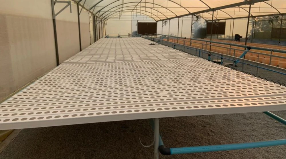 Wholesale/Supplier Growing Plants PVC Gutter for Hydroponic Greenhouse System