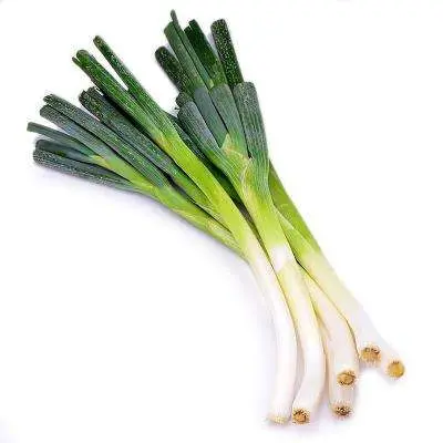 نيو كورب المجففة / شرائح Leek المسحورة الهيدرات، الحبيبات، أوكازيون باودر الساخن