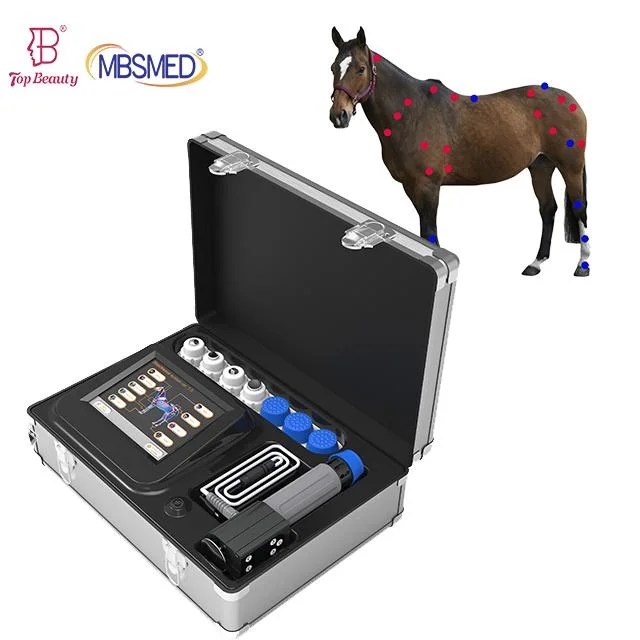 New Portable Vet Shockwave for Horse & Big/Small Animal Shock Wave Therapy Equipment