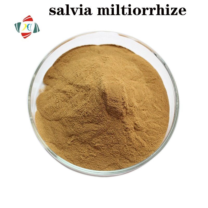 Factory Supply High Quality Salvia Miltiorrhiza Extract Powder 10: 1