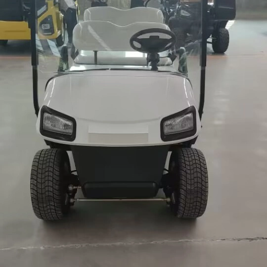 Golf Cart ATV Electric on Sale