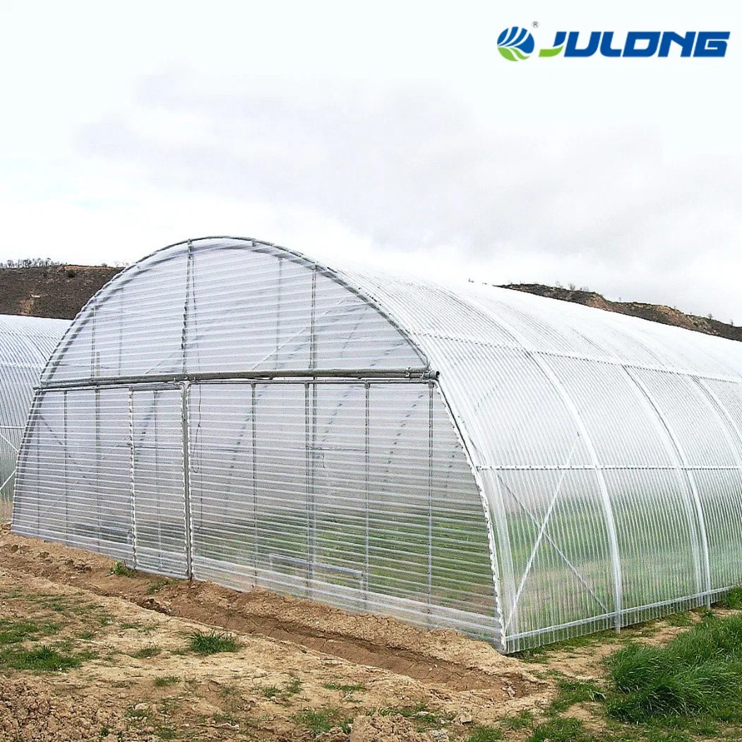 Low Price Single Span Tunnel Greenhouse für die Landwirtschaft