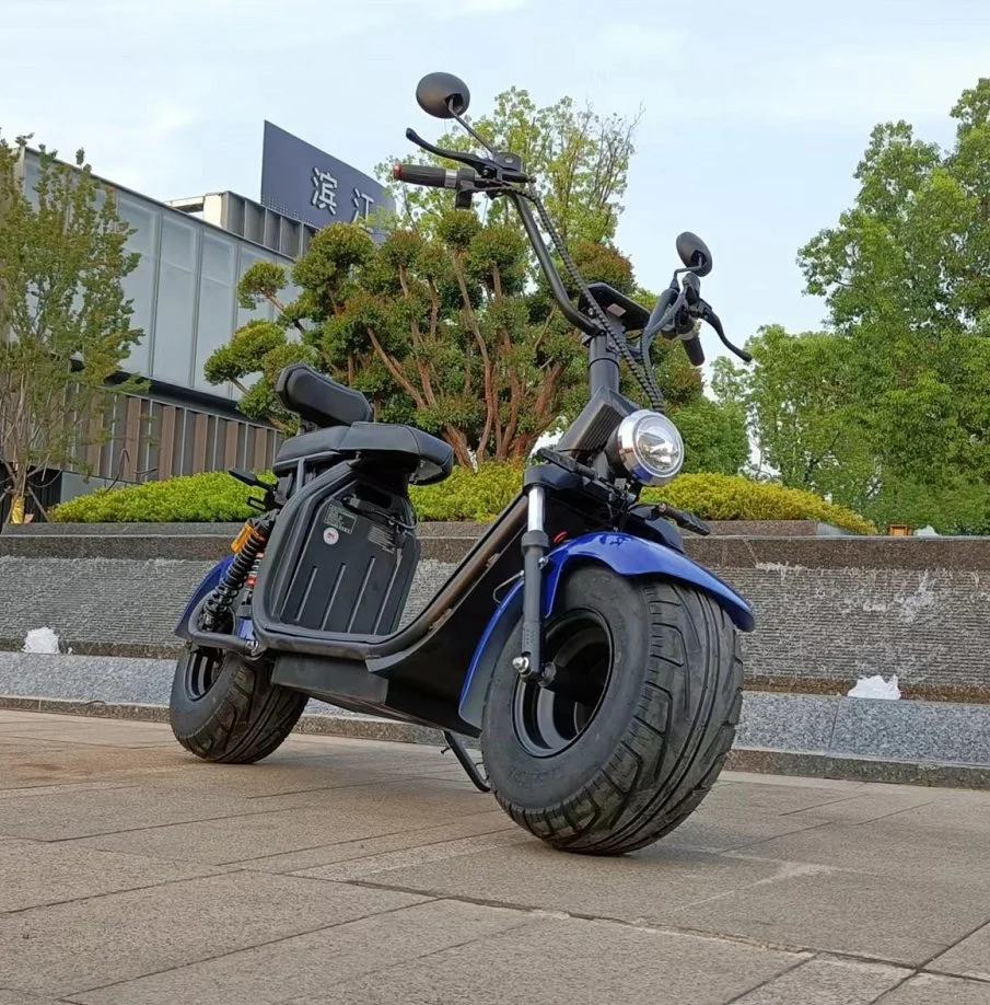 2 Rad EWG CE-Zertifizierung 2000W Erwachsene Smart Elektro-Motorrad Citycoco-Fahrrad