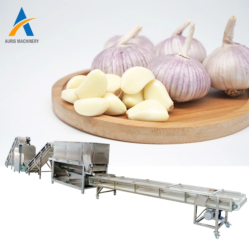 High Capacity Automatic Garlic Processing Line Garlic Bulbs Dividing Garlic Cloves Peeling Machine