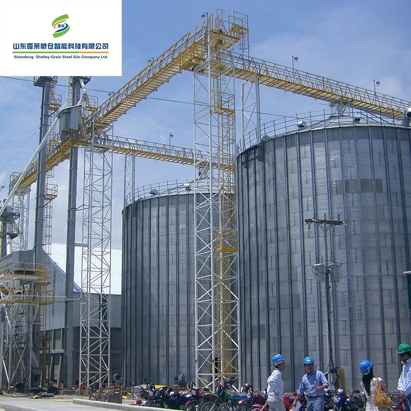 China Manufacturer 3000 Ton Steel Maize Grain Flat Bottom Wheat Soybeans Silo