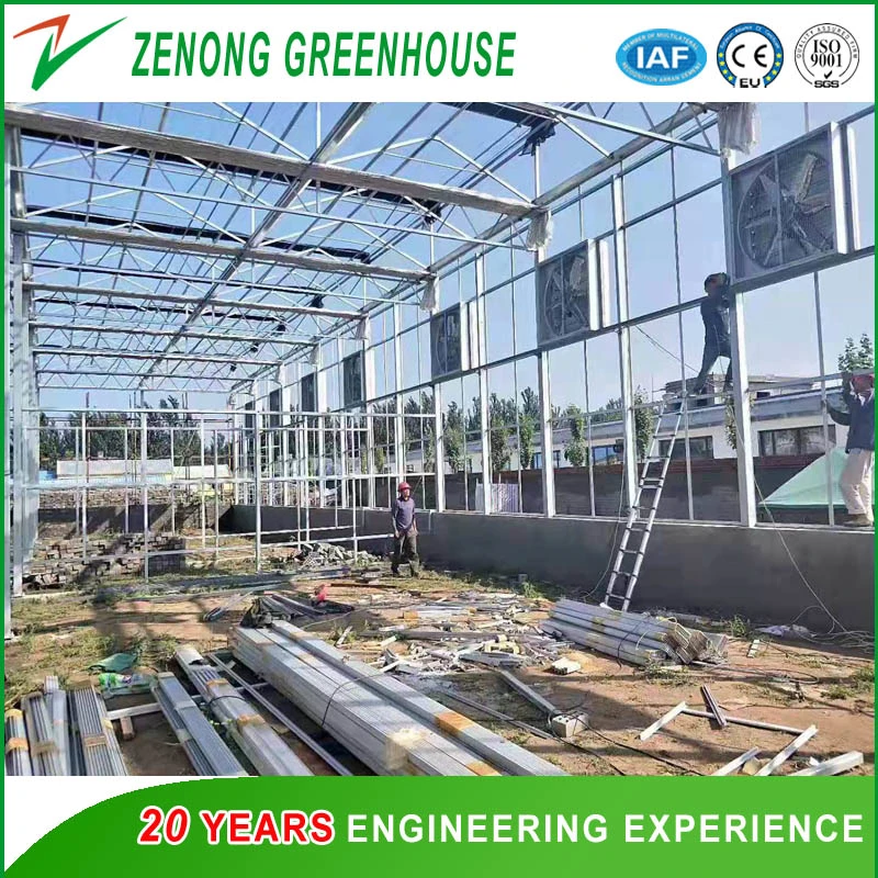 Glass Greenhouse for Exhibition/Seed Breeding/Ecological Restaurant/ Scientific Research