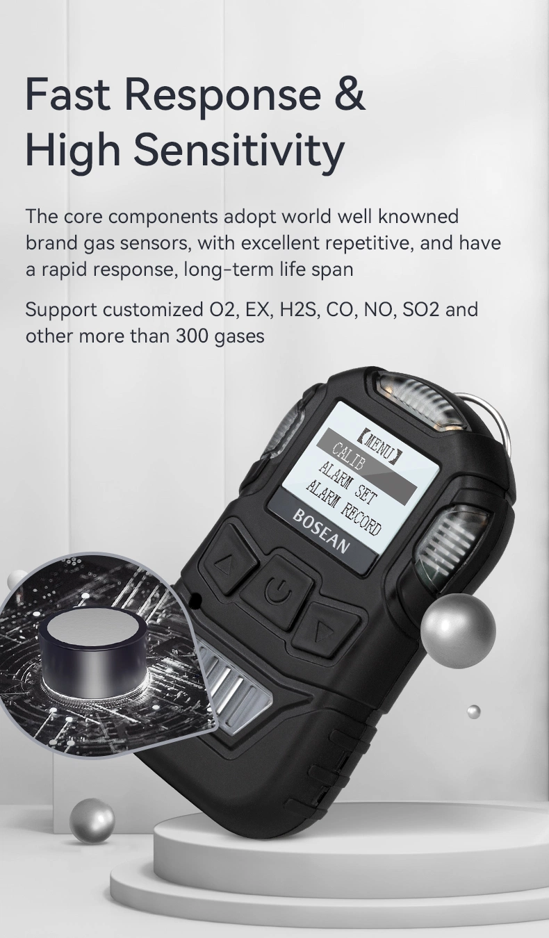 Portable Personal Co Leak Detector Carbon Monoxide Gas Alarm