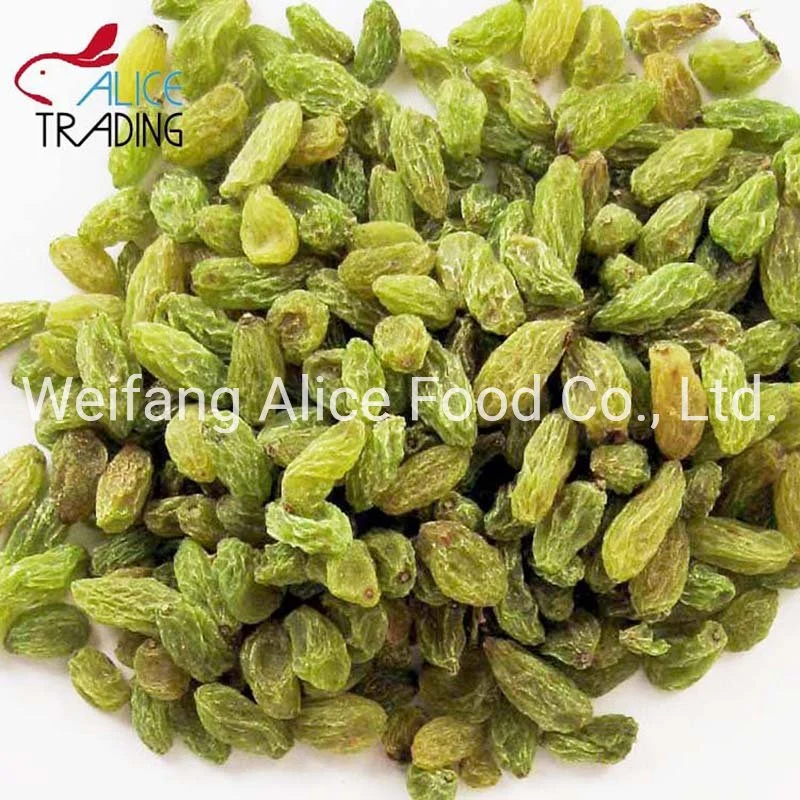 Good Tasting China Origin Dried Green Raisin Long Shape