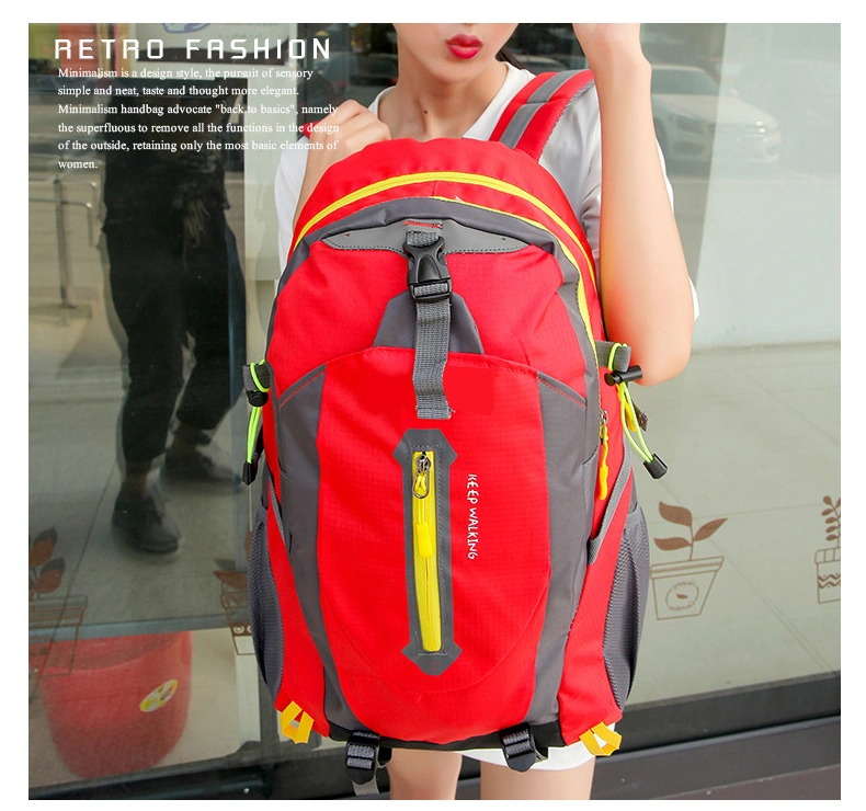 China Big Custom Carton 46*33*18cm Mochilas School Bags Camping Backpack with Good Service