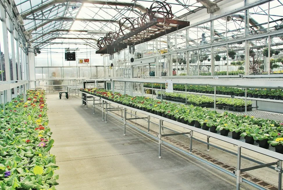 Mejor producto Glasshouse Container Farm Comercial Glass Greenhouse Hot Sale