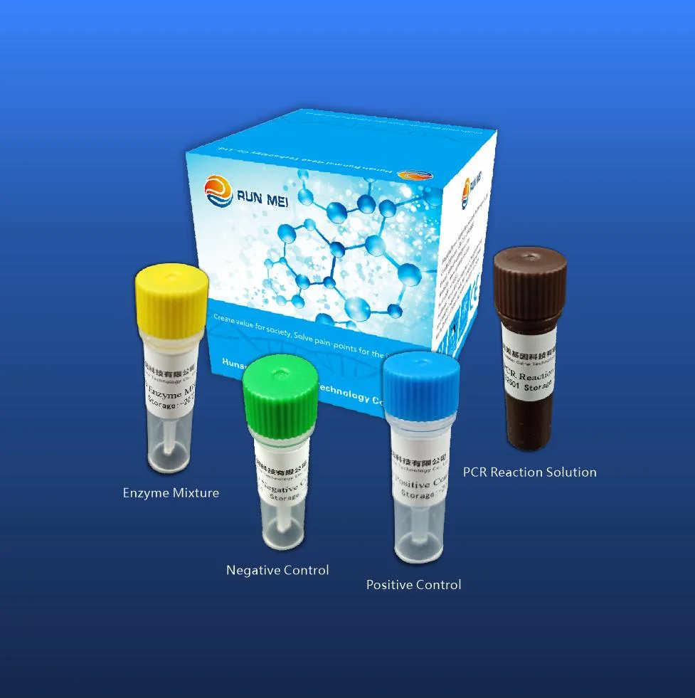 La tos ferina La tos ferina Hosei paramilitares Bordetella (fluorescencia) método PCR Kit de detección de ácido nucleico triple