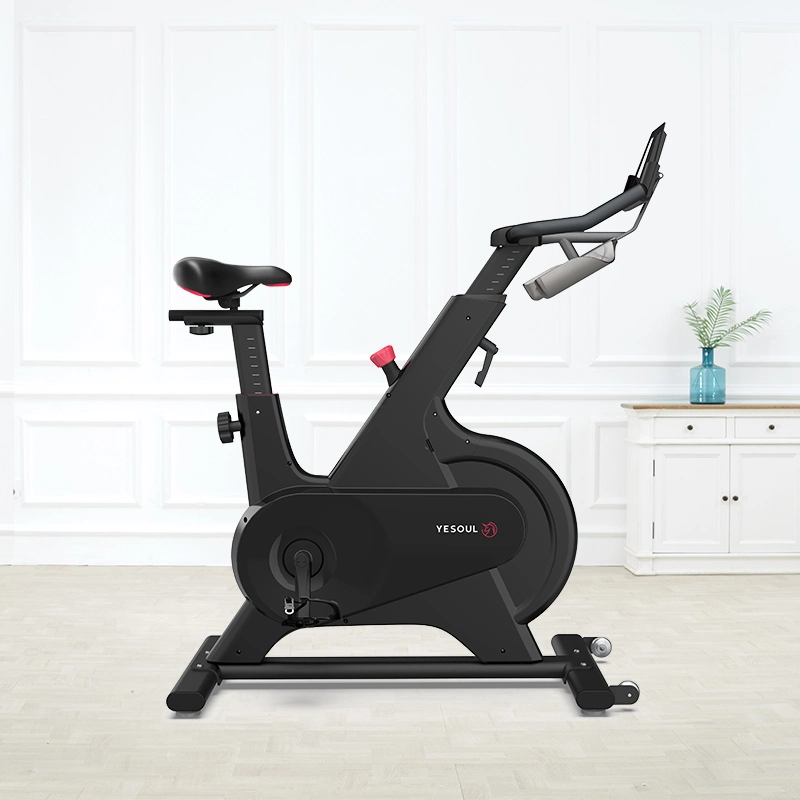 Spinning Bike Indoor Gym Silent Household Home Office Exercise Equipment