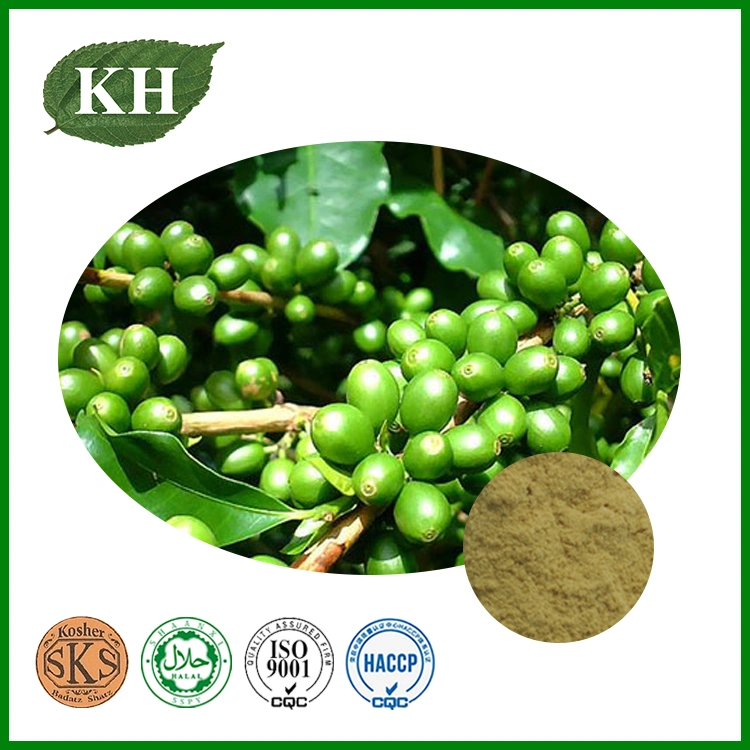 Green Coffee Bean Extract From Kingherbs Limited