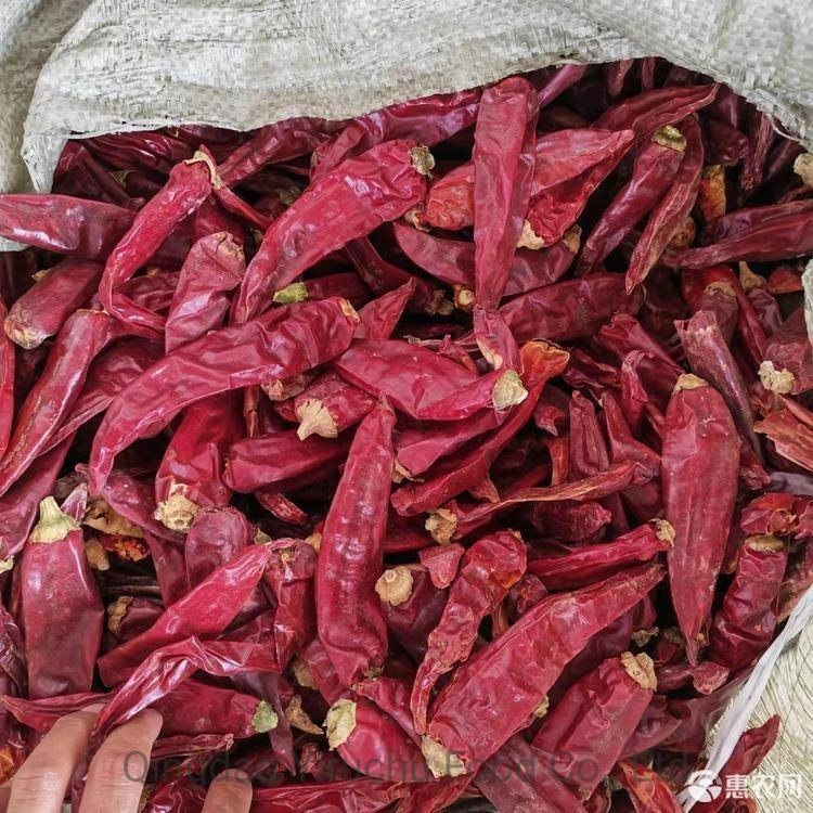 Good Price Sweet Paprika Dry Red Chilli